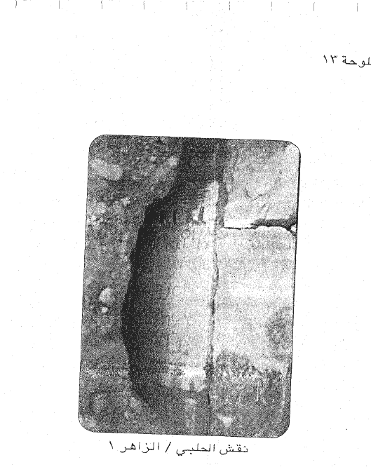 الزاهر 1